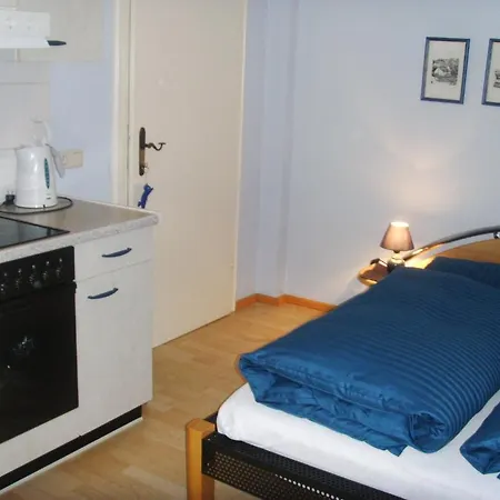 Ferienwohnung Muller Eben Im Pongau